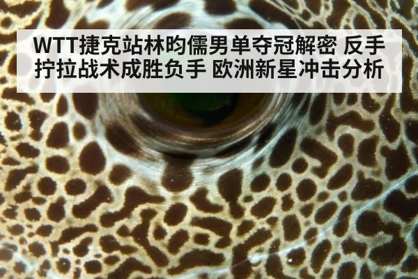WTT捷克站林昀儒男单夺冠解密 反手拧拉战术成胜负手 欧洲新星冲击分析