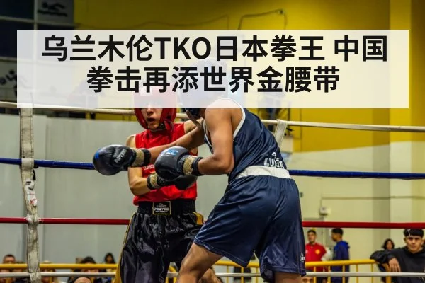 乌兰木伦TKO日本拳王 中国拳击再添世界金腰带